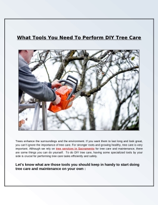 What Tools Helpful for DIY Tree Care and Maintenance?