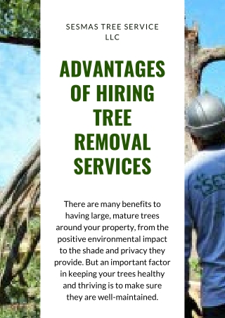 Tree Service Atlanta