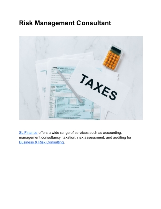 Risk Management Consultant