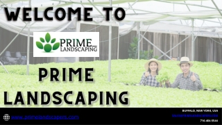 Prime Landscaping