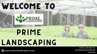 Prime Landscaping