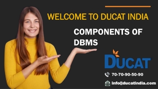 COMPONENTS OF DBMS