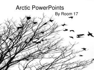 Arctic PowerPoints