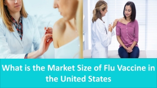 What is the Market Size of Flu Vaccine in the United States