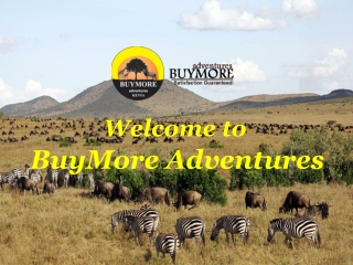 Experience the Amazing Kenya Luxury Safari With BuyMore Adventures