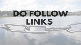 What Is a Do follow Link and Why It Importance