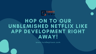 Hop On To Our Unblemished Netflix Like App Development Right Away!