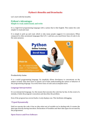 Python's Benefits and Drawbacks