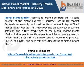 Indoor Plants Industry  Trends, Size, Share, Demand, Analysis, Industry Growth and Competitive Landscape