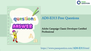 Adobe Campaign AD0-E313 Practice Test Questions