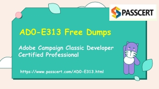 Adobe Campaign Classic Developer AD0-E313 Dumps