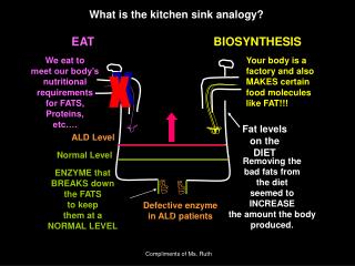 What is the kitchen sink analogy?