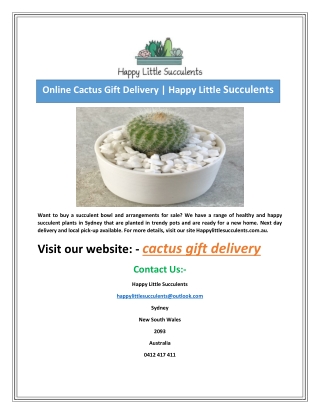 Online Cactus Gift Delivery | Happy Little Succulents