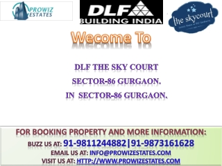 DLF The sky Court Launch @ 91-9811244882
