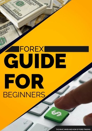 Forex Guide for Beginners
