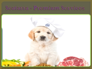Seatarra - Premium Services