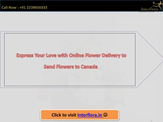 Flower Delivery Canada, Send Flowers to Canada | Interflora India