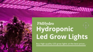 Hydroponic Led Grow Lights - PMHydro