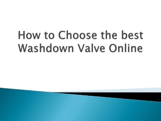 How-to-Choose-the-best-Washdown-Valve-Online