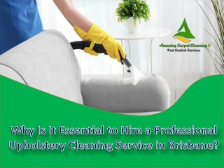 Why Is It Essential to Hire a Professional Upholstery Cleaning Service in Brisbane