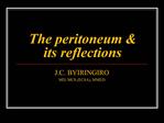 The peritoneum its reflections