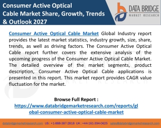 Consumer Active Optical Cable Market Statistics, Expected Growth, Investments