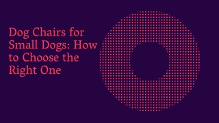 Dog Chairs for Small Dogs How to Choose the Right One