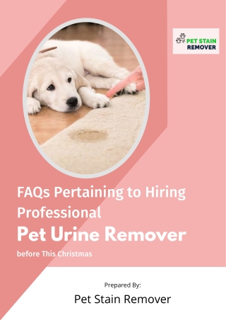 FAQs Pertaining to Hiring Professional Pet Urine Remover before This Christmas