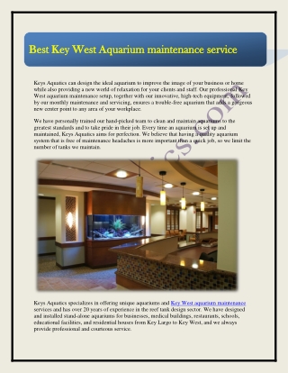 Best Key West Aquarium maintenance service