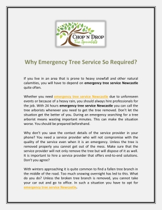 Why Emergency Tree Service So Required
