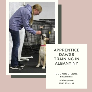 Apprentice Dawgs Training in Albany NY