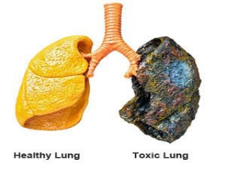 Cleaning Tar From Lungs