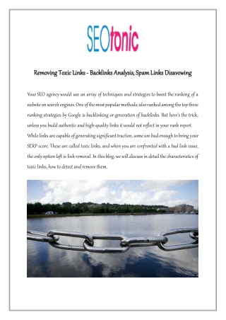 Removing Toxic Links - Backlinks Analysis, Spam Links Disavowing