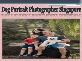 Dog Portrait Photographer Singapore