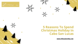 5 Reasons To Spend Christmas Holiday in Cabo San Lucas