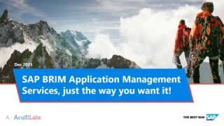 SAP BRIM Application Management Services, just the way you want it!