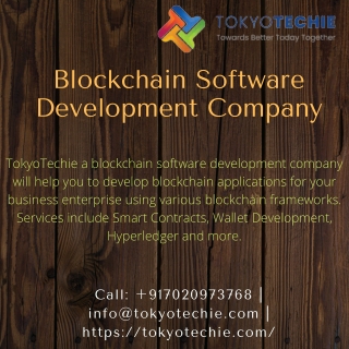 Blockchain Software Development Company | TokyoTechie