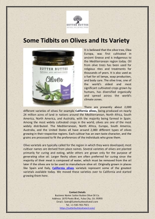 Some Tidbits on Olives and Its Variety