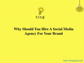 Why Should You Hire A Social Media Agency For Your Brand