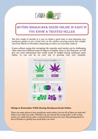 Buying Marijuana Seeds Online Is Easy If You Know a Trusted Seller