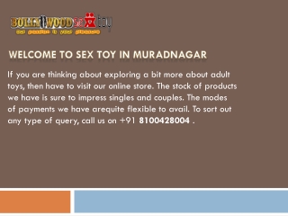Fun Toys In Muradnagar