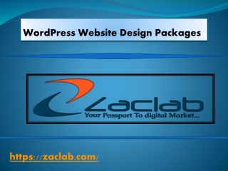 Wordpress Website  Design Packages