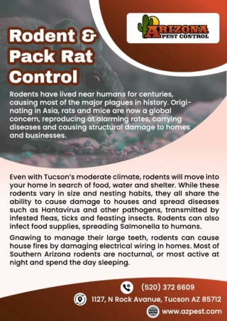 Exterminators tucson arizona | Tucson termite treatment