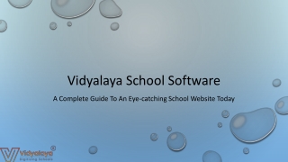 A Complete Guide To An Eye-catching School Website Today