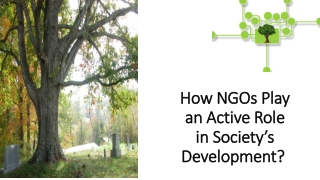 How NGOs Play an Active Role in Society’s