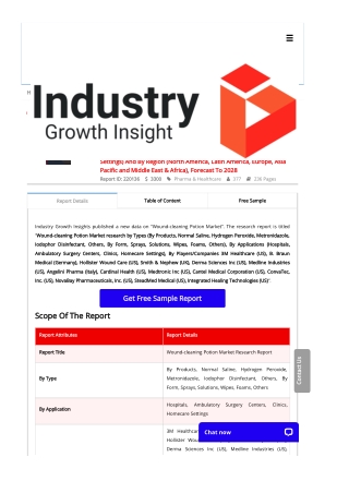 Wound-cleaning Potion Market Report | Global Forecast To 2028