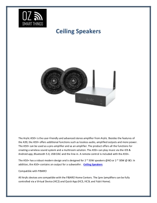 Ceiling Speakers