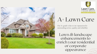 Professional Lawn Care Services | A  Lawn Care