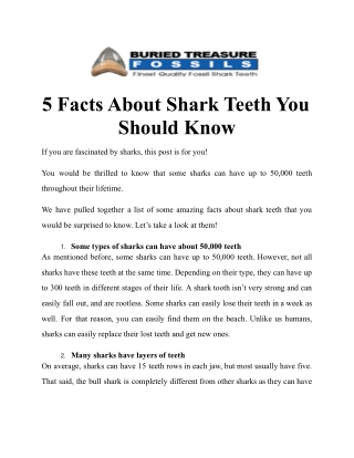 5 Facts About Shark Teeth You Should Know