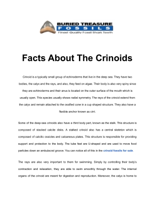 Facts About The Crinoids